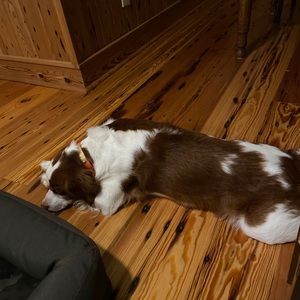 Meet your Posher, Lee